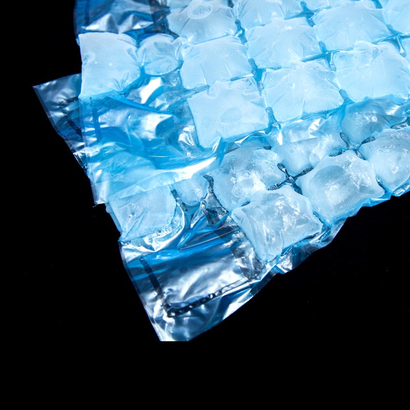 Food grade disposable ice cube bags